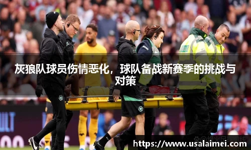 灰狼队球员伤情恶化，球队备战新赛季的挑战与对策